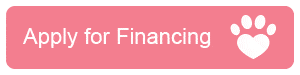Apply for Puppies Financing in Georgia - Terrace Finance